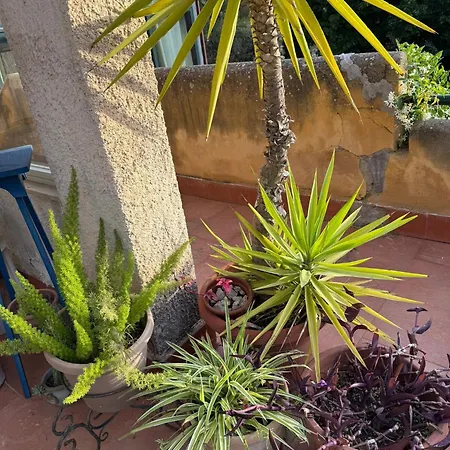 Pensjonat La Bellavita