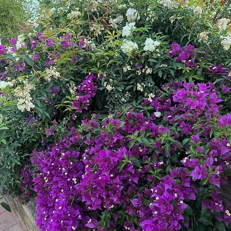 La Bellavita Caltanissetta