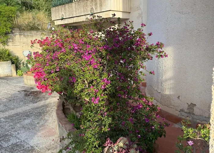 Guest house La Bellavita 4*