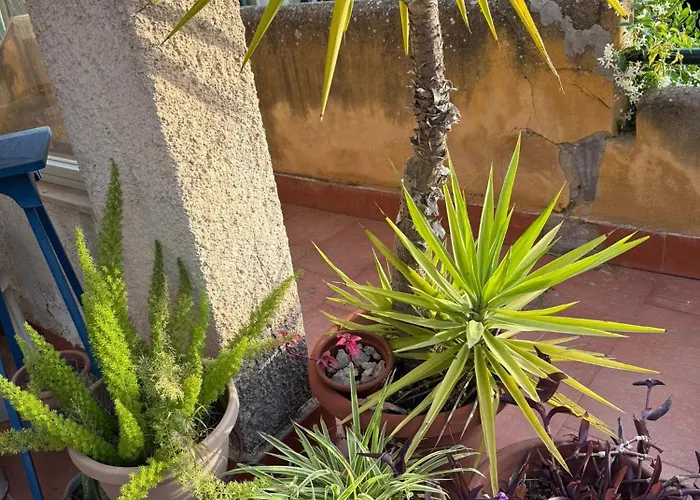 Guest house La Bellavita