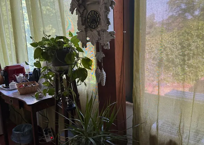 La Bellavita Guest house