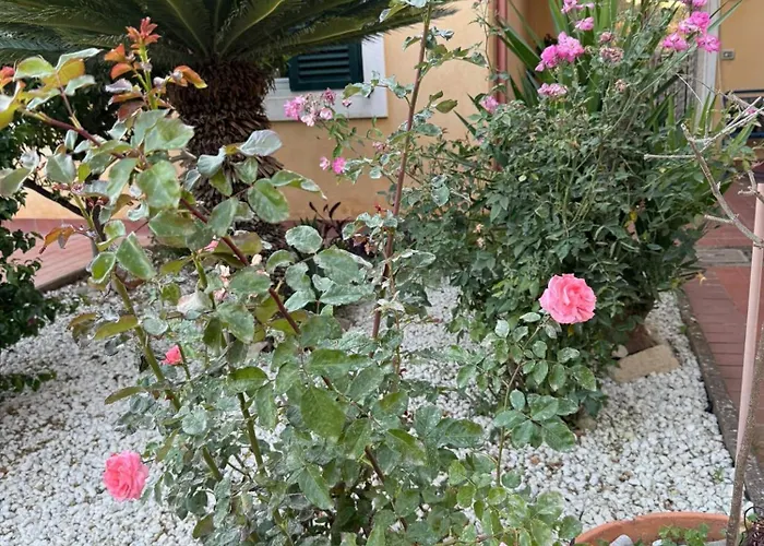 Guest house La Bellavita Caltanissetta